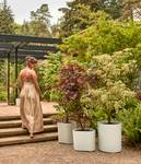 eden aquacare medium 40cm zacht taupe